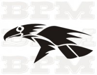 /album/fotogaleria-vtaky/vtaky-31-jpg/